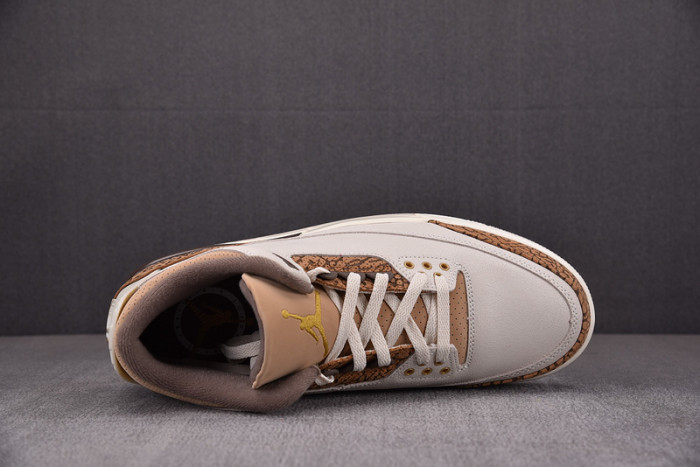 air jordan 3 "palamino" ct8532-102