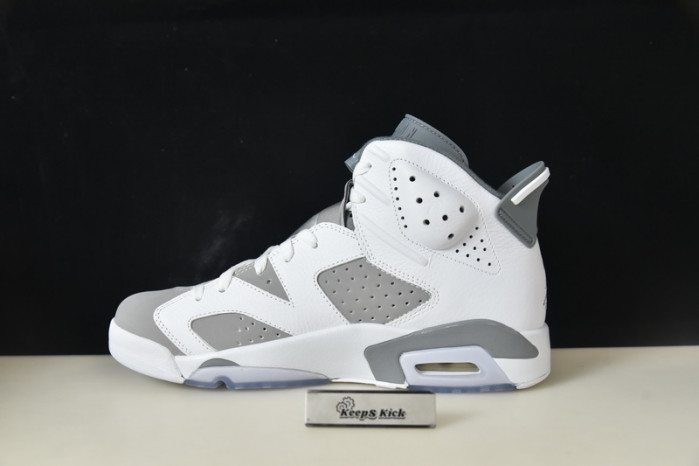 air jordan 6 "cool grey" ct8529-100